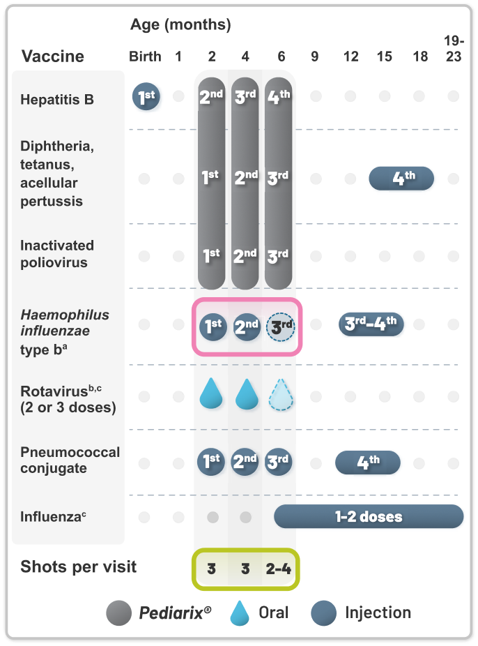 Pediarix Vaccination Schedule